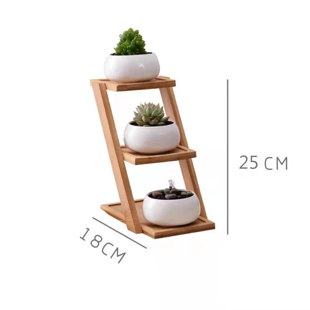 Succulent Plant Pot Cactus Planter Ceramic Pot with Bamboo Tray for Room Decoration Small Round White Ceramic Bl21943